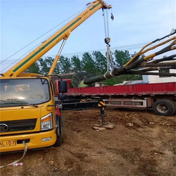 夷陵100吨吊车租赁费用怎么算？3大关键因素+省钱技巧全解析